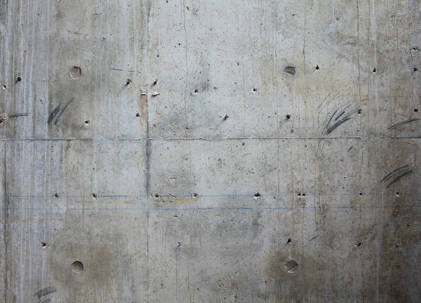 Best Concrete Removal and Replacement in Gunter, TX